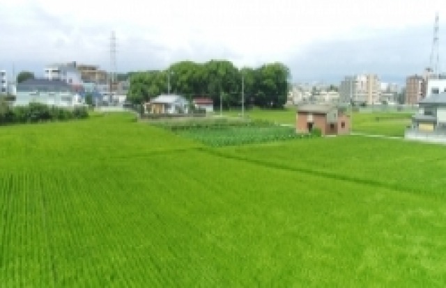 近隣の風景